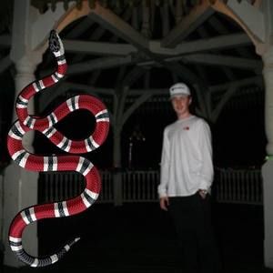 Meet your Posher, Cole